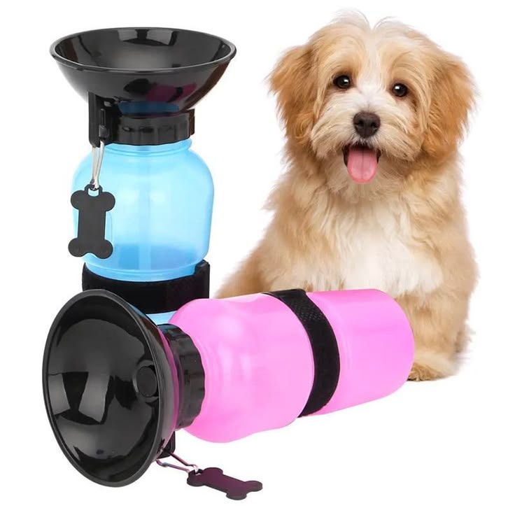 Pet Aqua Water Bottle