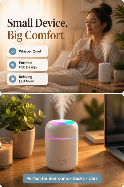 H2O Humidifier
