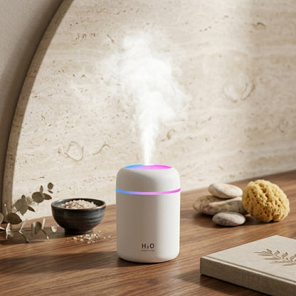 H2O Humidifier