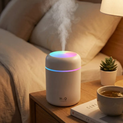 H2O Humidifier