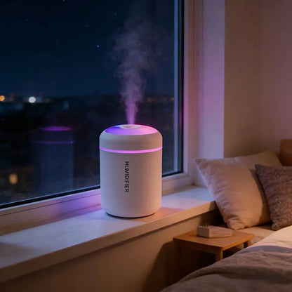H2O Humidifier